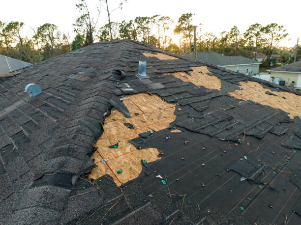 Best Roof Coating and Sealing  in Bethpage, NY